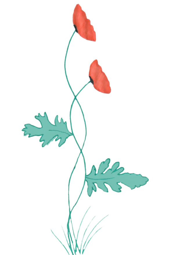 Coquelicots_enlaces__pour_Cre_acteurs__Christine_Coulon.png